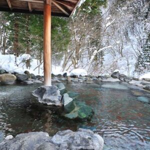 <span>1月23日宿泊</span><span>檜の宿 水上山荘</span><span>利根郡みなかみ町谷川556</span><span>一泊二食プラン</span>