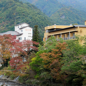 <span>2月17日宿泊</span><span>温もりの宿 辰巳館</span><span>利根郡みなかみ町上牧2052</span><span>一泊二食プラン</span>
